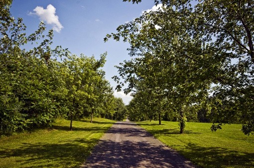 la_closerie_de_pauline_marois_2009_sothebys_2 la_closerie_de_pauline_marois_2009_sothebys_2