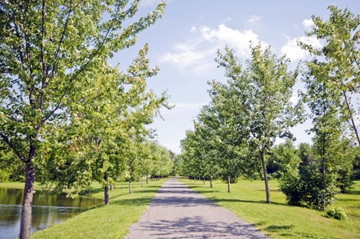 la_closerie_de_pauline_marois_2009_sothebys_4 la_closerie_de_pauline_marois_2009_sothebys_4