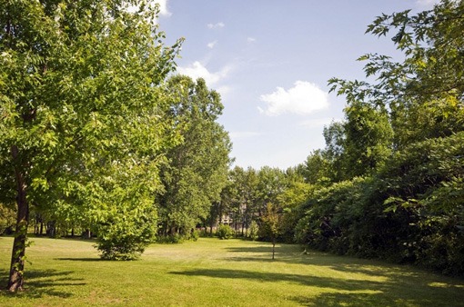 la_closerie_de_pauline_marois_2009_sothebys_6 la_closerie_de_pauline_marois_2009_sothebys_6