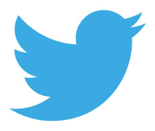 petit-oiseau-twitter