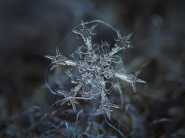 flocons-de-neige-a-moscou-1