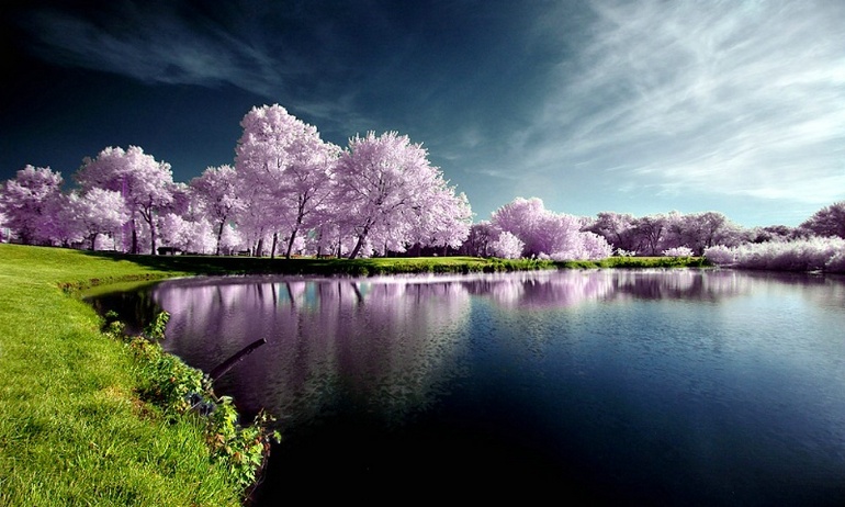 photos magnifiques_1