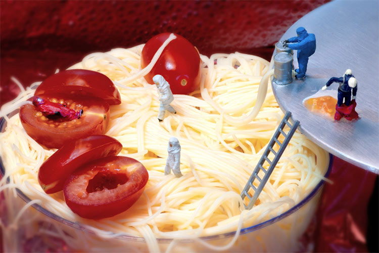 william-kass-pate-saladier