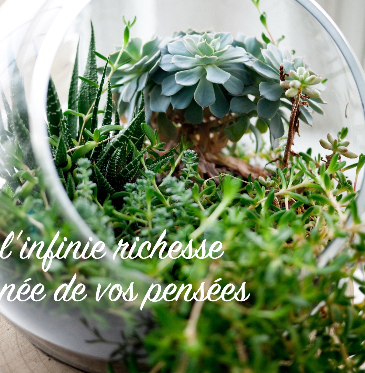 infinie-richesse-nee-de-vos-pensees