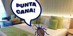 Punaises de lit à Punta Cana