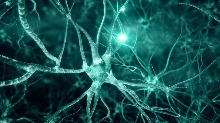 synapses-du-cerveau-humain