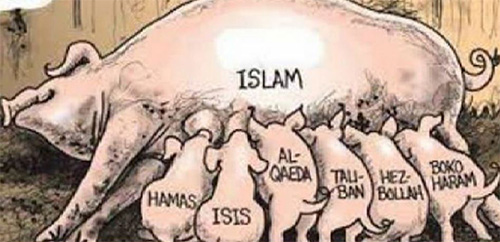 islam-et-ses-cochonnets