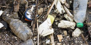 Déchets de plastique