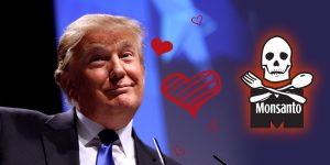 Trump aime Monsanto