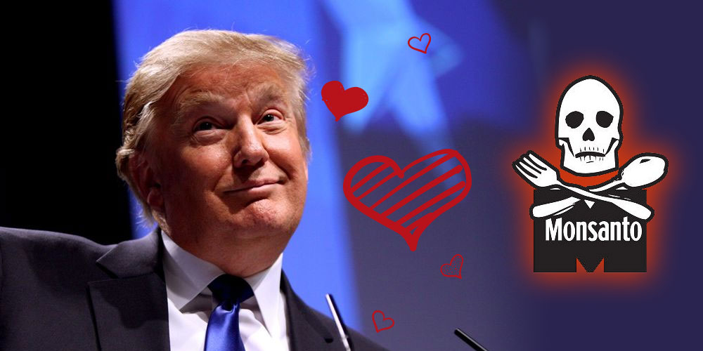 Trump aime Monsanto