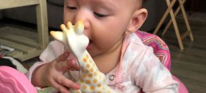 Bébé qui machouille un jouet
